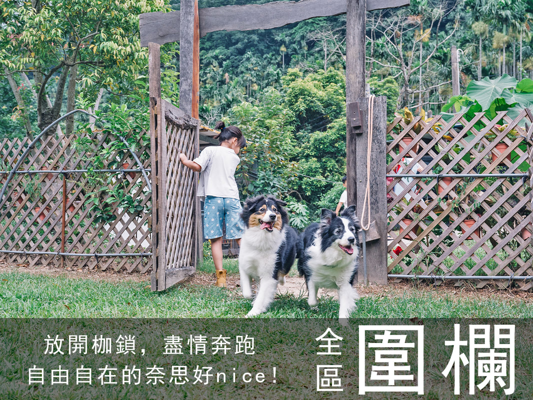 夜幕下亮起暖燈的小木屋與寵物露營區